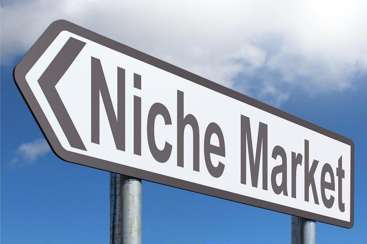 What SEO strategy to follow when your market is niche?