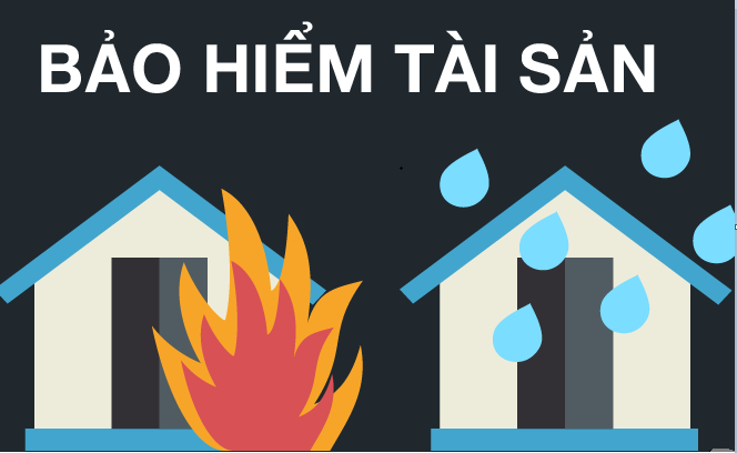 Giám định bảo hiểm tài sản