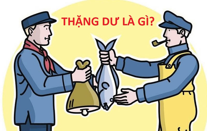 Thặng dư là gì