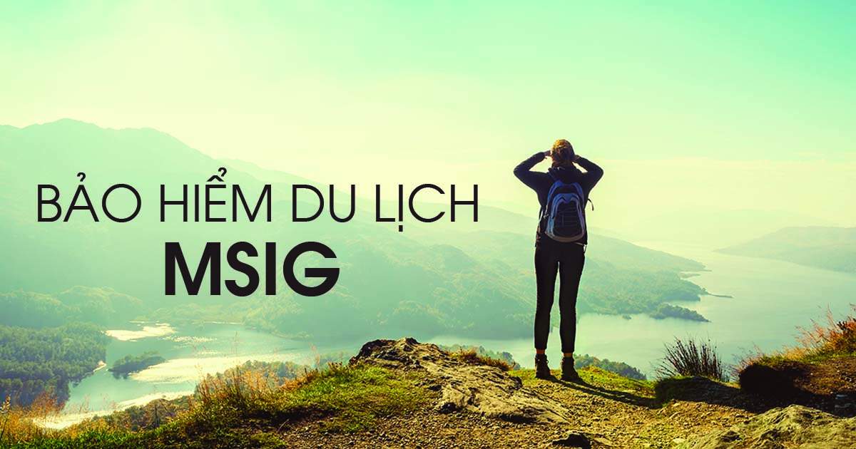 Sản phẩm bảo hiểm MSI