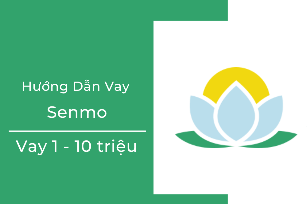 thebank_huongdanvaysenmo_1588155379