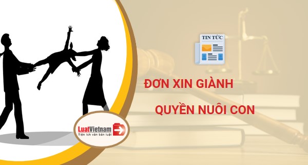 Mẫu Đơn xin giành quyền nuôi con để gửi cho Tòa án
