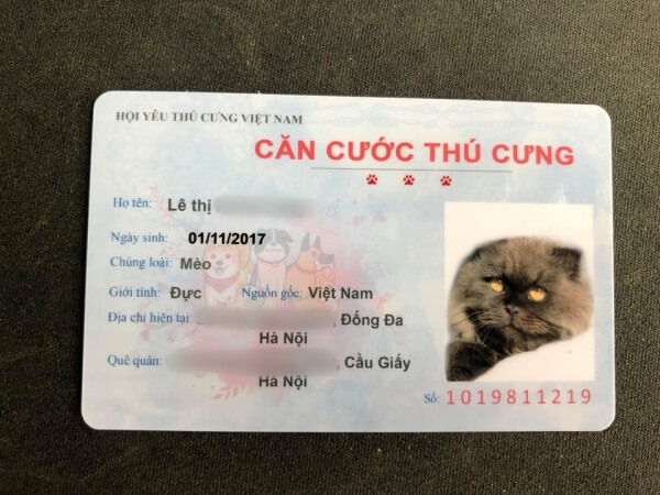 căn cước thú cưng mới