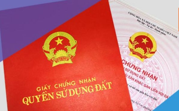 cấp sổ đỏ cho rừng sản xuất
