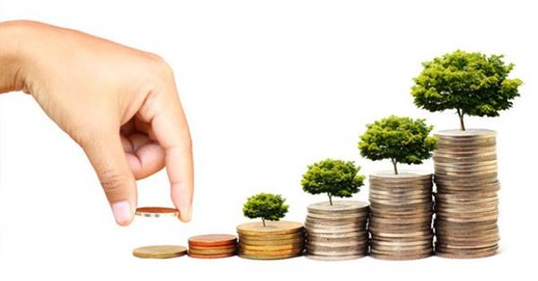 chia lợi nhuận của dự án tài chính vi mô
