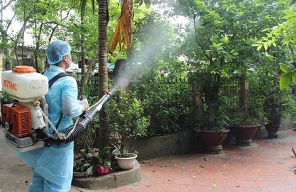chiến dịch diệt bọ gậy