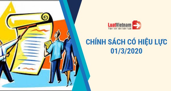 Nhiếu chính sách có hiệu lực 01/3/2020