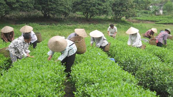 Chính sách mới có hiệu lực 25/11/2019