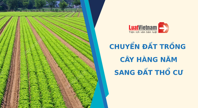 chuyển đất trồng cây hàng năm sang đất thổ cư