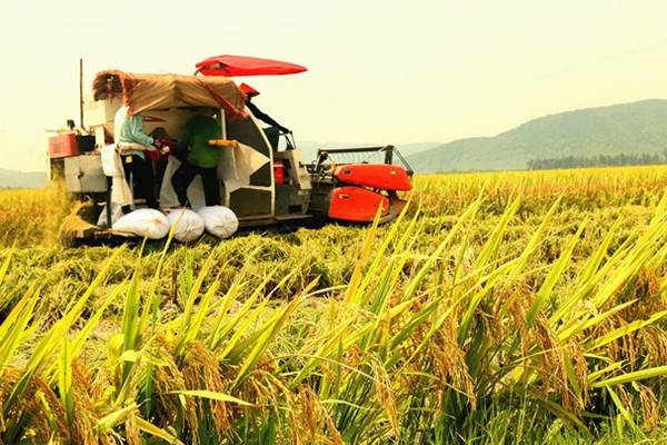 chuyển đổi hợp tác xã