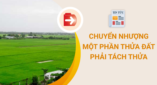 Chuyển nhượng một phần thửa đất