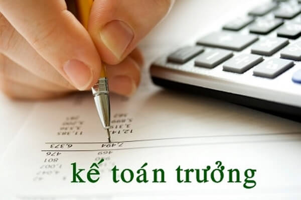 có bắt buộc kê khai thông tin kế toán trưởng