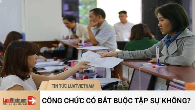 Công chức có bắt buộc phải tập sự
