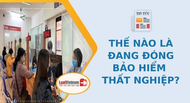 Đang đóng bảo hiểm thất nghiệp được hiểu như thế nào?