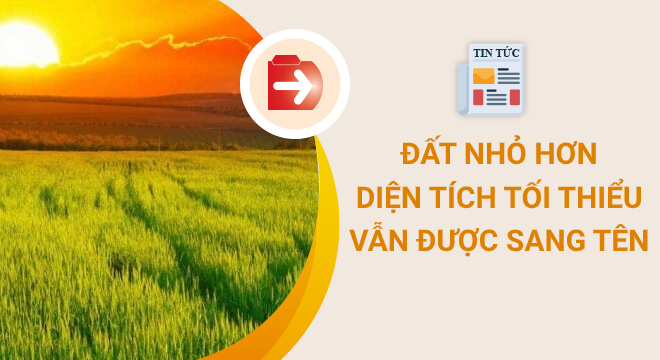 Đất nhỏ hơn diện tích tối thiểu vẫn được phép sang tên