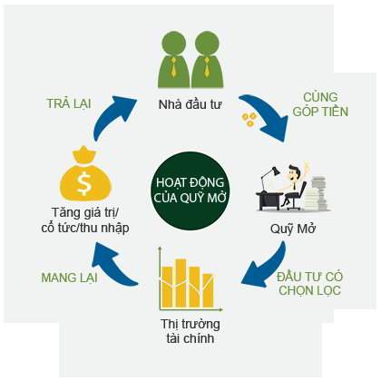 Nhà đầu tư cá nhân có thể dễ dàng đầu tư vào quỹ mở