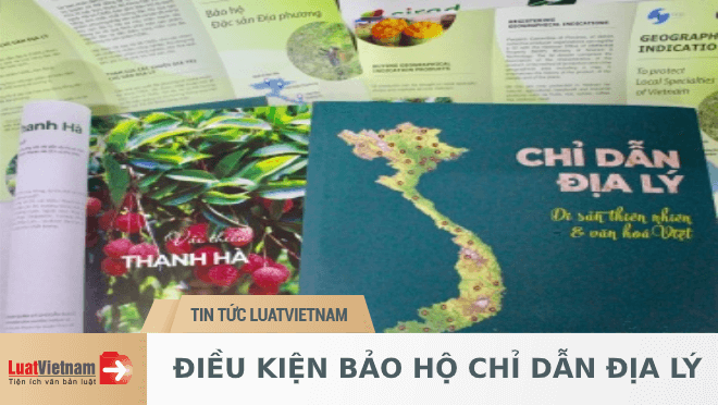 Điều kiện bảo hộ chỉ dẫn địa lý