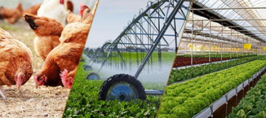 Điều kiện kinh doanh trong nông nghiệp