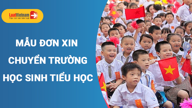 đơn xin chuyển trường cho học sinh tiểu học