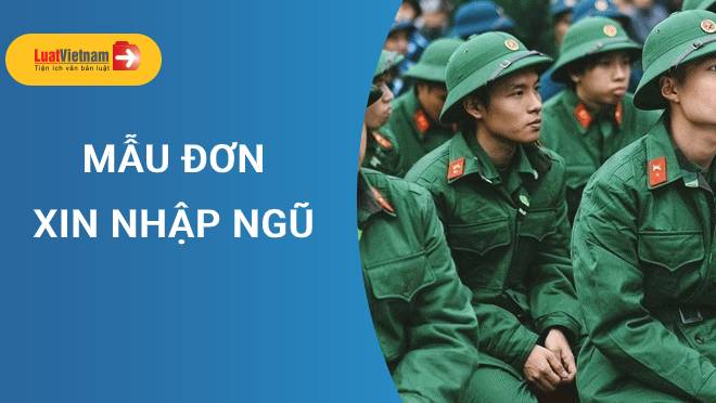 Mẫu Đơn xin nhập ngũ và cách viết thuyết phục nhất!