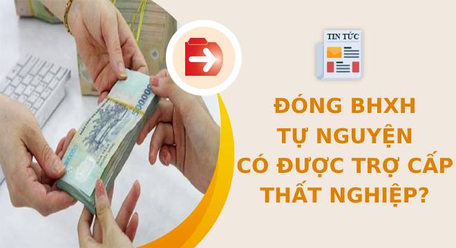 Đóng BHXH tự nguyện có được hưởng trợ cấp thất nghiệp?