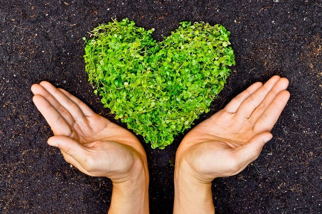 establish the charity funds