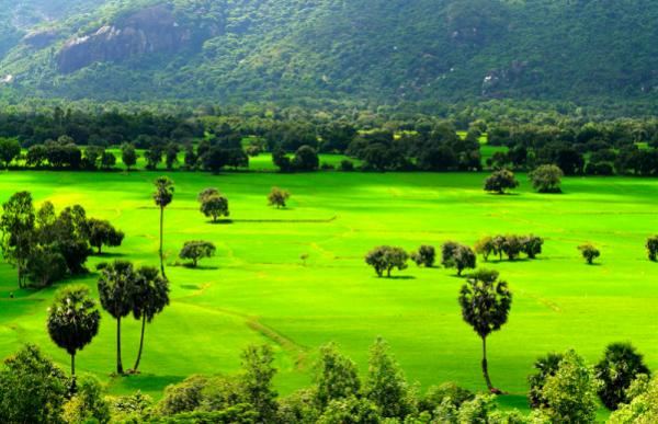 giao đất thông qua đấu giá