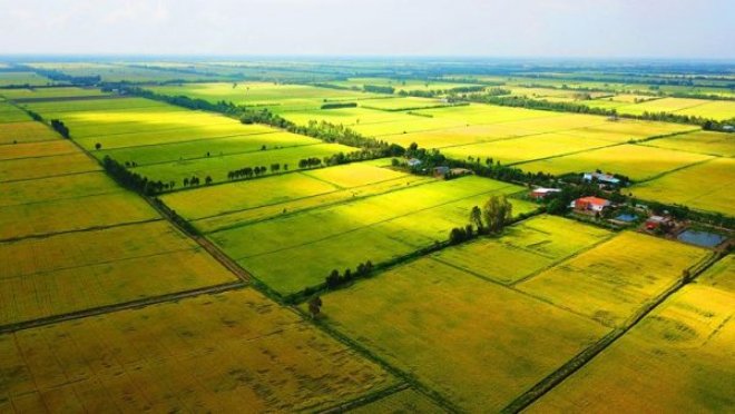 Đề xuất mở rộng hạn mức mua bán đất nông nghiệp