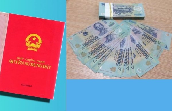 không được miễn giảm tiền sử dụng đất