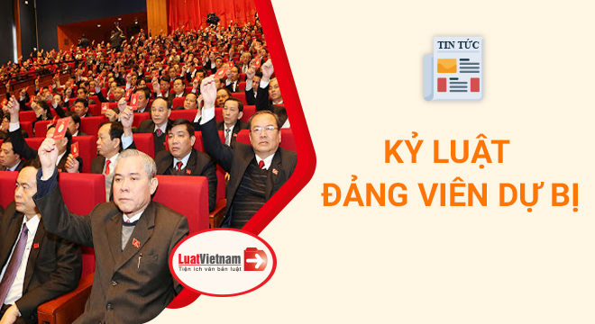 kỷ luật Đảng viên dự bị 