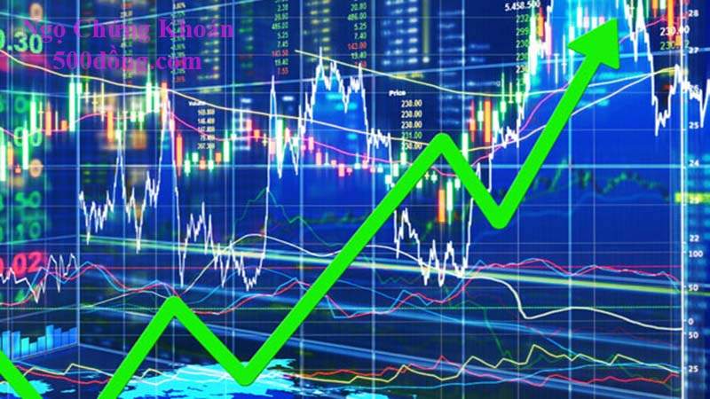 Lựa chọn thị trường đầu tư chứng khoán