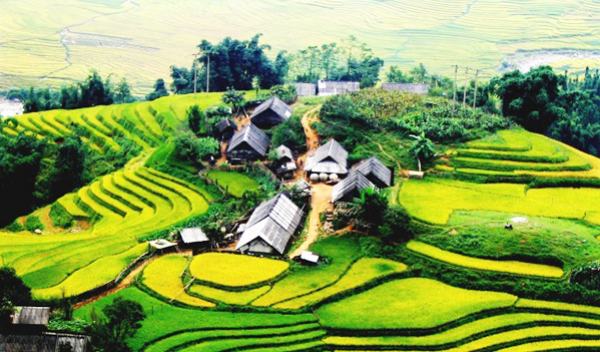 Người sử dụng đất