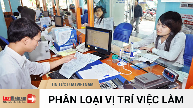 phân loại vị trí việc làm