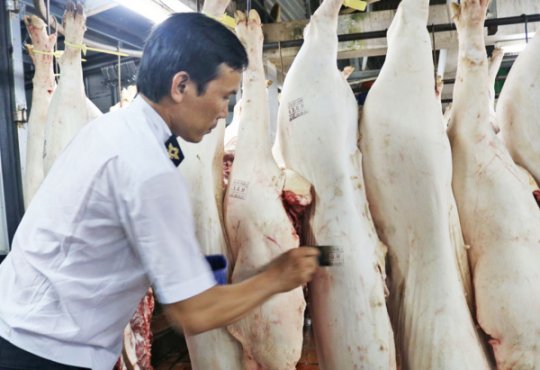 Phòng, chống bệnh Dịch tả lợn Châu Phi