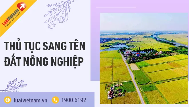sang tên đất nông nghiệp