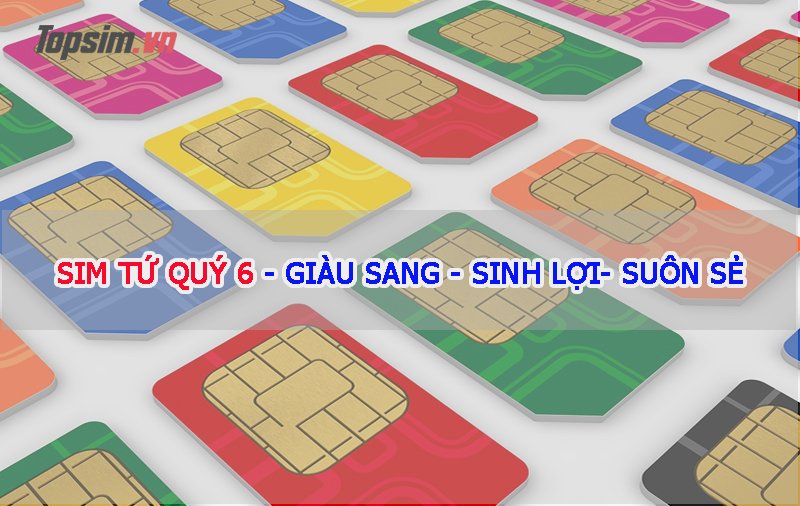 Giải mã Ý nghĩa Sim tứ Quý 6