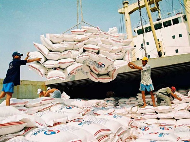 Tạm dừng ký hợp đồng xuất khẩu gạo mới