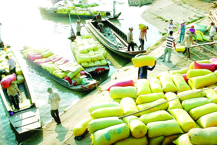tạm ứng trước hạn ngạch xuất khẩu gạo