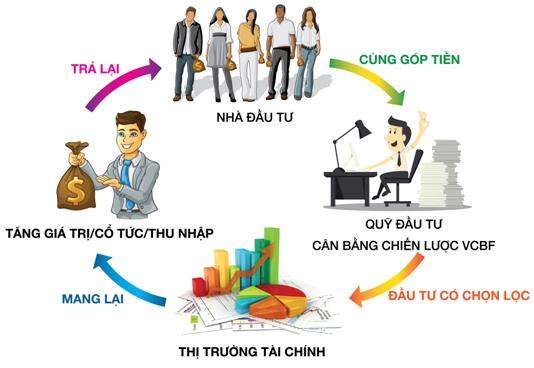 Tổ chức cần trải qua thủ tục, hồ sơ khá rườm rà để có thể đầu tư vào quỹ mở