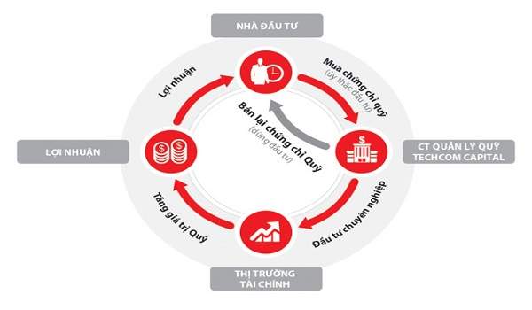 Lựa chọn đầu tư của nhà đầu tư Việt Nam