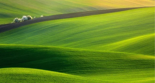 thời hạn sử dụng đất