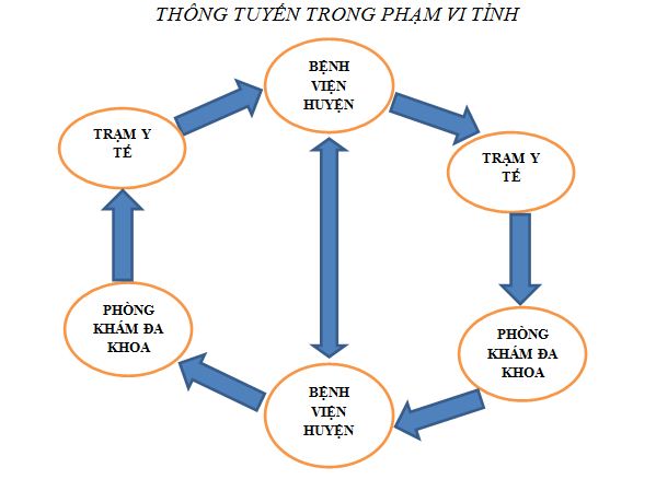 Thong tuyen bao hiem y te