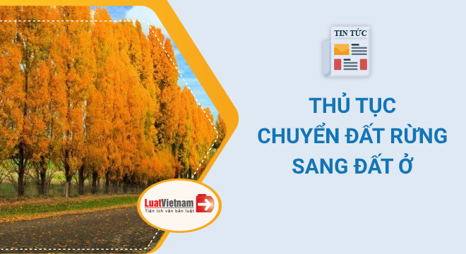 Thủ tục chuyển đất rừng sang đất ở