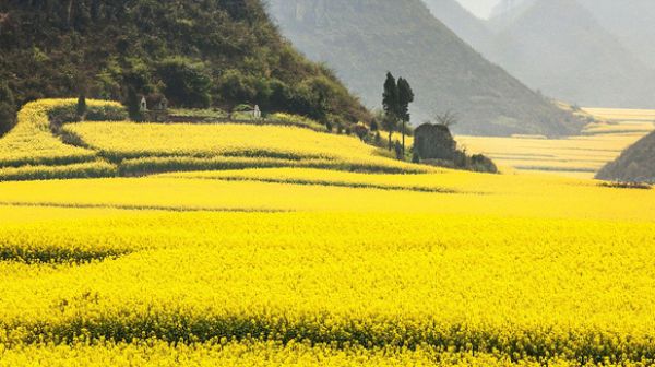 giao đất thuê đất không thông qua đấu giá