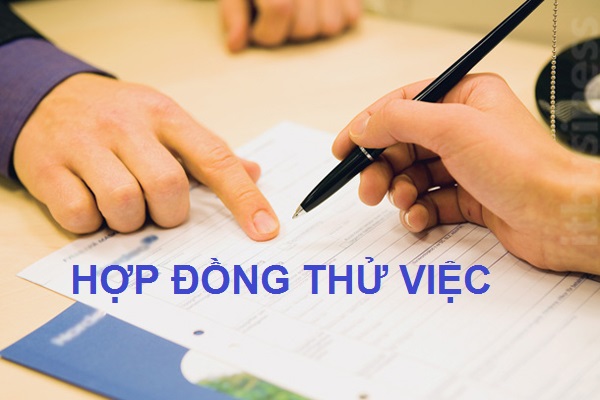 Hợp đồng thử việc có được đóng bảo hiểm xã hội?