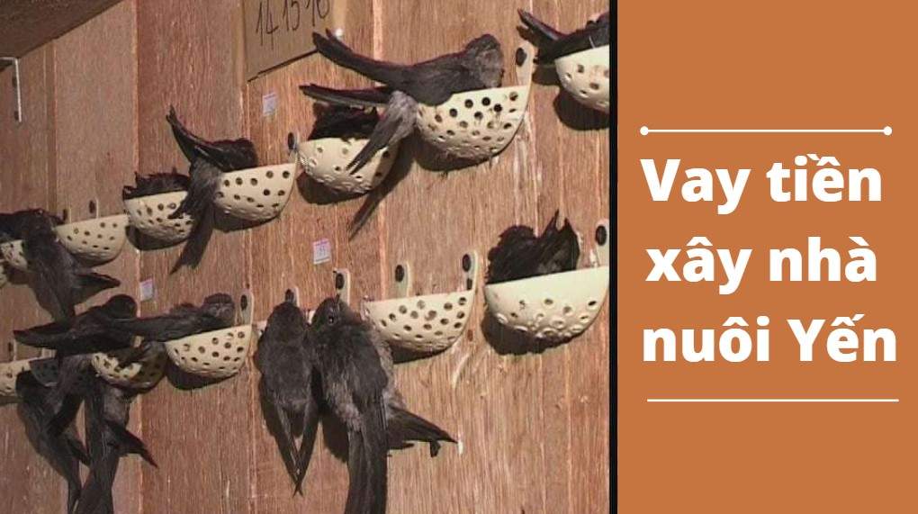 Vay tiền xây nhà Yến