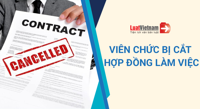 viên chức bị cắt hợp đồng làm việc