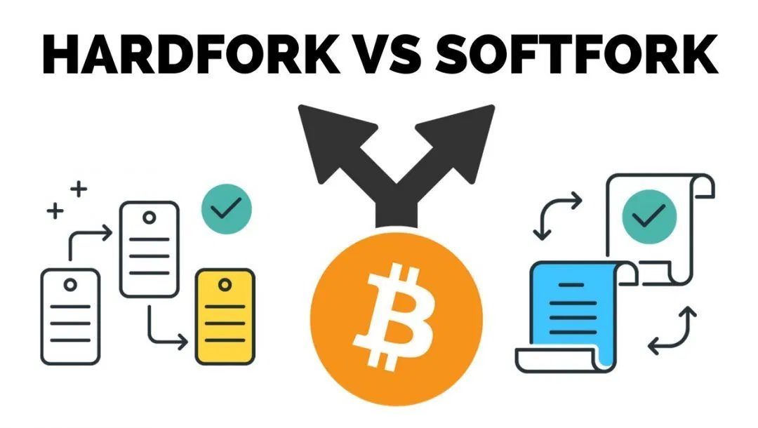 word image 7 Hard Fork và Soft Fork là gì? tìm hiểu chi tiết update 2021