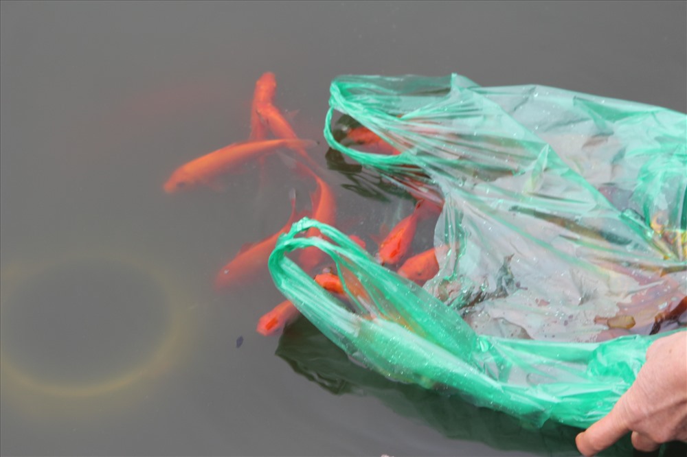 Xả rác sau lễ tiễn ông Công ông Táo bị phạt... cả tháng lương