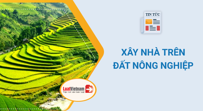 xây nhà trên đất nông nghiệp